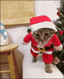 1000331502.gif
